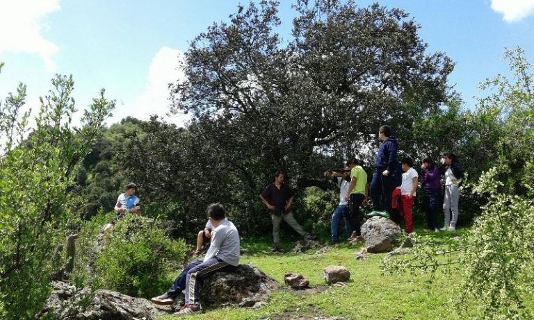 Desarrollan Sexta Escuela Ambiental en San Vicente TT