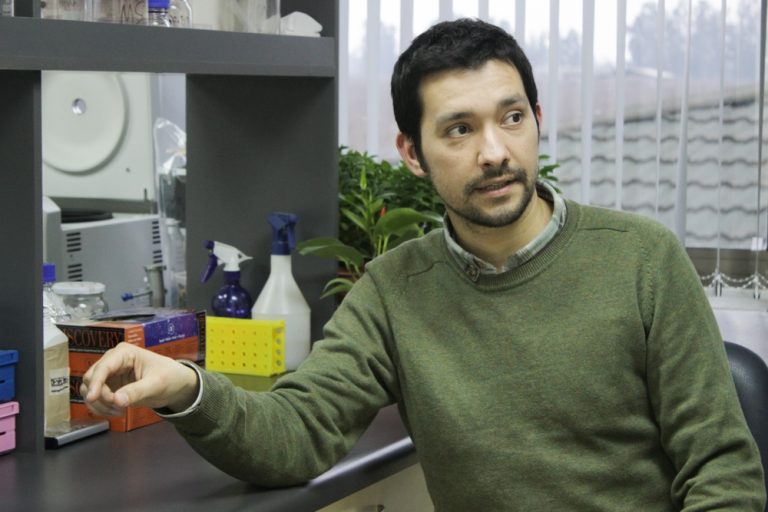 GABA: ¿una molécula protectora para las plantas frente a  inundaciones?