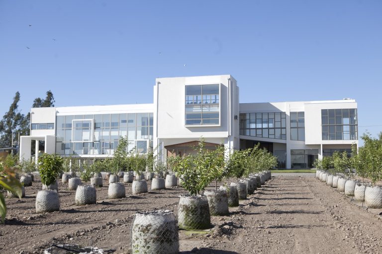 CEAF próximo a pasar a nueva etapa de desarrollo