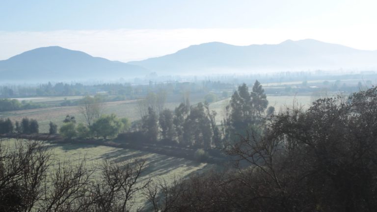 Ciencia y Turismo: Ruta Científica Historia Natural de Taguatagua