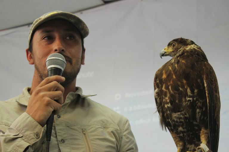 Dan a conocer fauna silvestre regional para generar plan de manejo en escalada