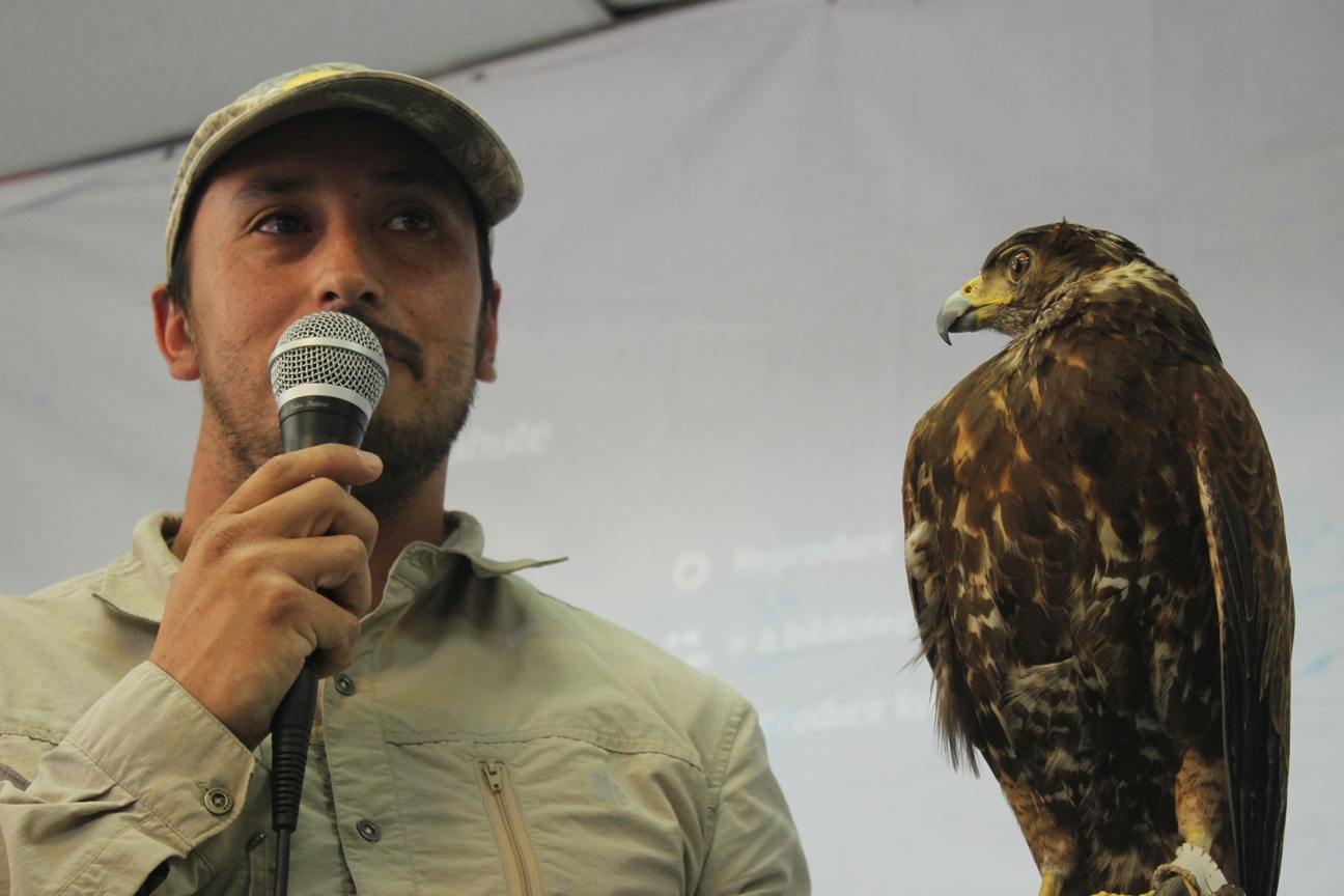 Dan a conocer fauna silvestre regional para generar plan de manejo en escalada