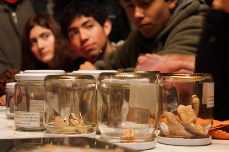 Conoce los proyectos seleccionados de Academias Explora O’Higgins