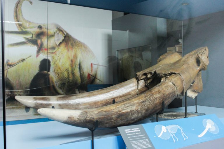 ¡Participa del III Seminario de Arqueología en Taguatagua!