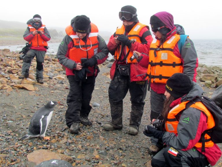 ¿Quieres ir a la Antártica? ¡Participa en la FAE 2015!