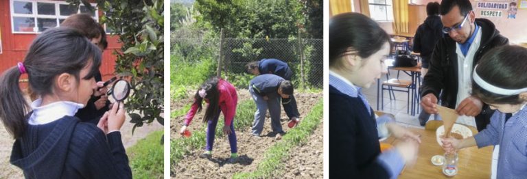 Conoce nuestros Clubes de Ciencias