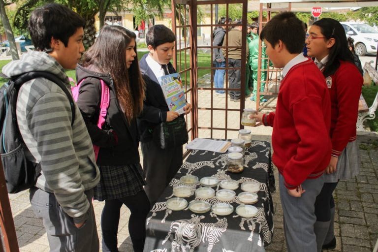 ¡Docente!: Ampliamos Plazo para Academias Explora O’Higgins