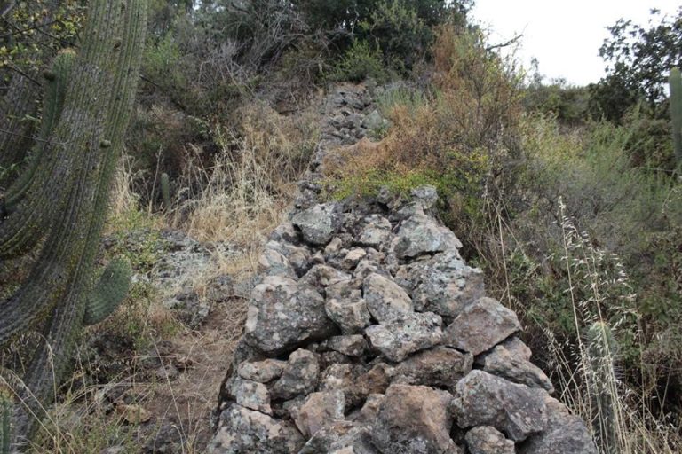 Conoce la arqueoastronomía en el programa radial Mentes Brillantes