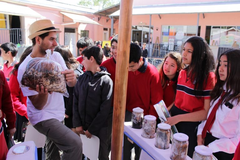 Muestra itinerante “Fungi-ciclo” da a conocer el reino de los hongos