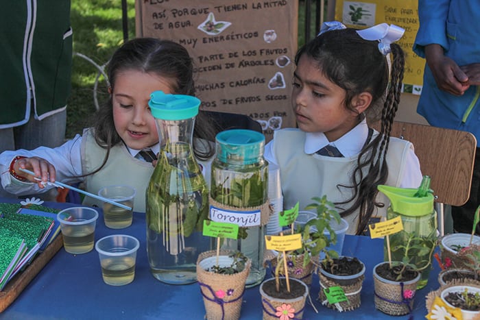 Niños y niñas de educación parvularia sorprenden con proyectos en Feria Científica