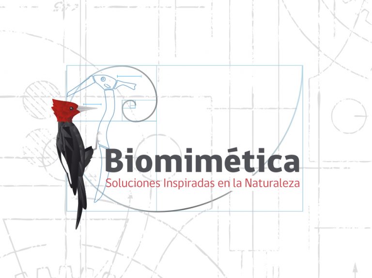 Biomimética  en Frecuencia Explora