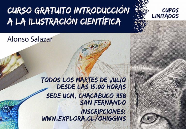 Invitamos a Curso de Ilustración Científica