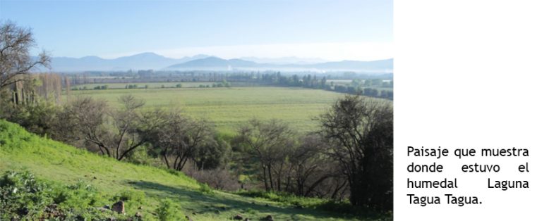 ¿Puede Convivir la Biodiversidad con la Agricultura Intensiva?
