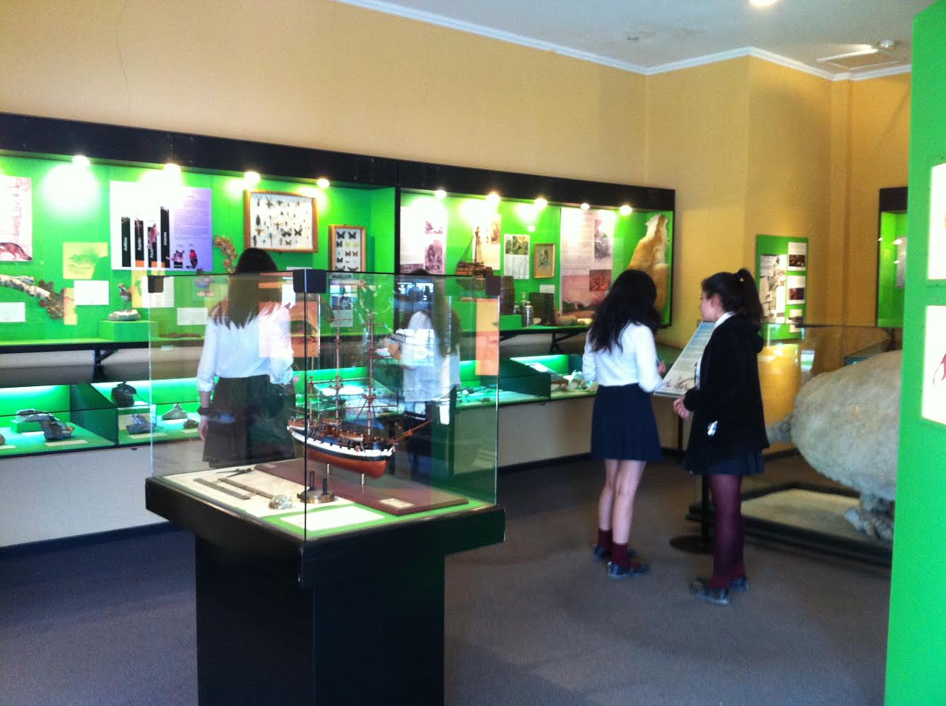 Estudiantes disfrutaron del Museo Colchagua gracias a la Semana Nacional de la Ciencia y Tecnología