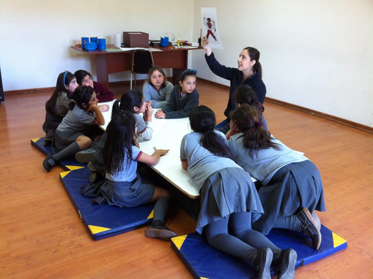 Alumnos del Instituto Rancagua mezclaron la ciencia y el arte