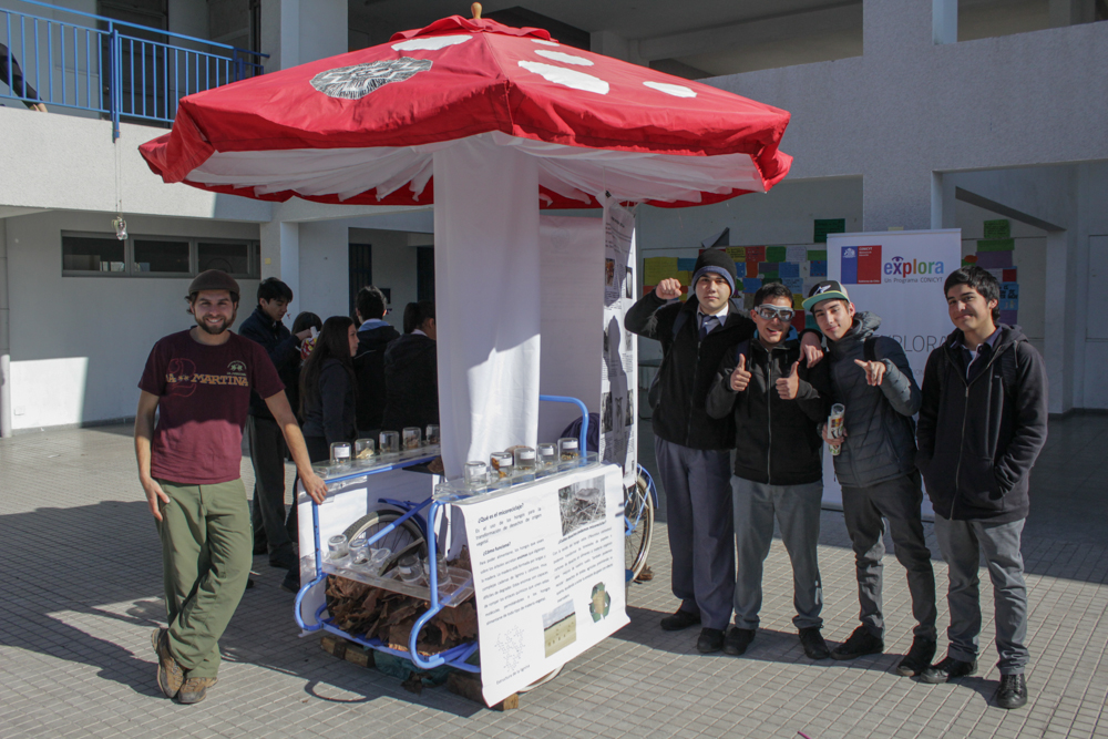 Fungiciclo, nuestra muestra Itinerante de Hongos