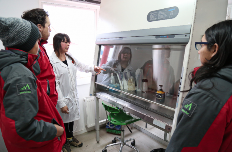 Estudiantes de Codegua realizaron pasantía científica en INACH