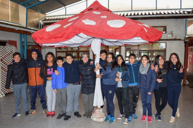 Estudiantes de O’Higgins conocen biodiversidad de los hongos