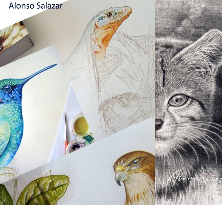 Conoce los ganadores del Curso de Ilustración Científica