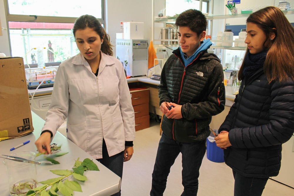 Estudiantes de Marchigüe realizaron pasantía en la región del Bío Bío