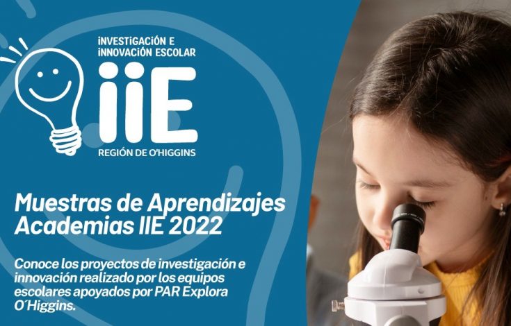 muestras de aprendizajes Academias IIE