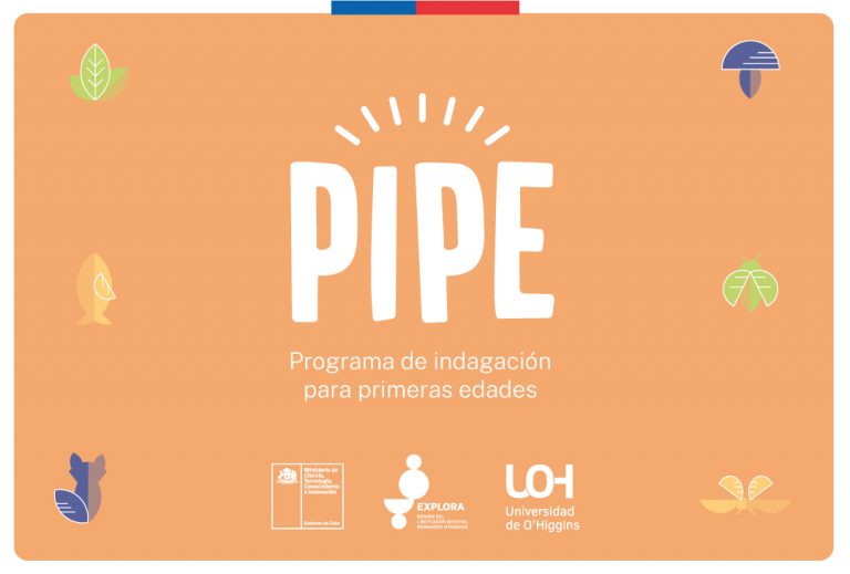 Lista con los cupos seleccionados para PIPE 2024