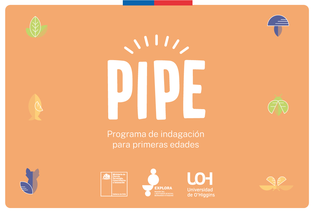 Lista con los cupos seleccionados para PIPE 2024