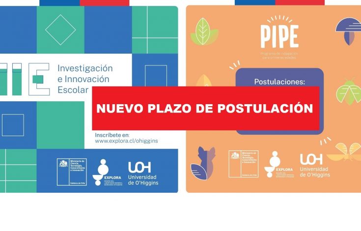 nuevo plazo postulación IIE y PIPE