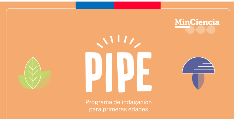 Programa de Indagación para Primeras Edades (PIPE) 2023