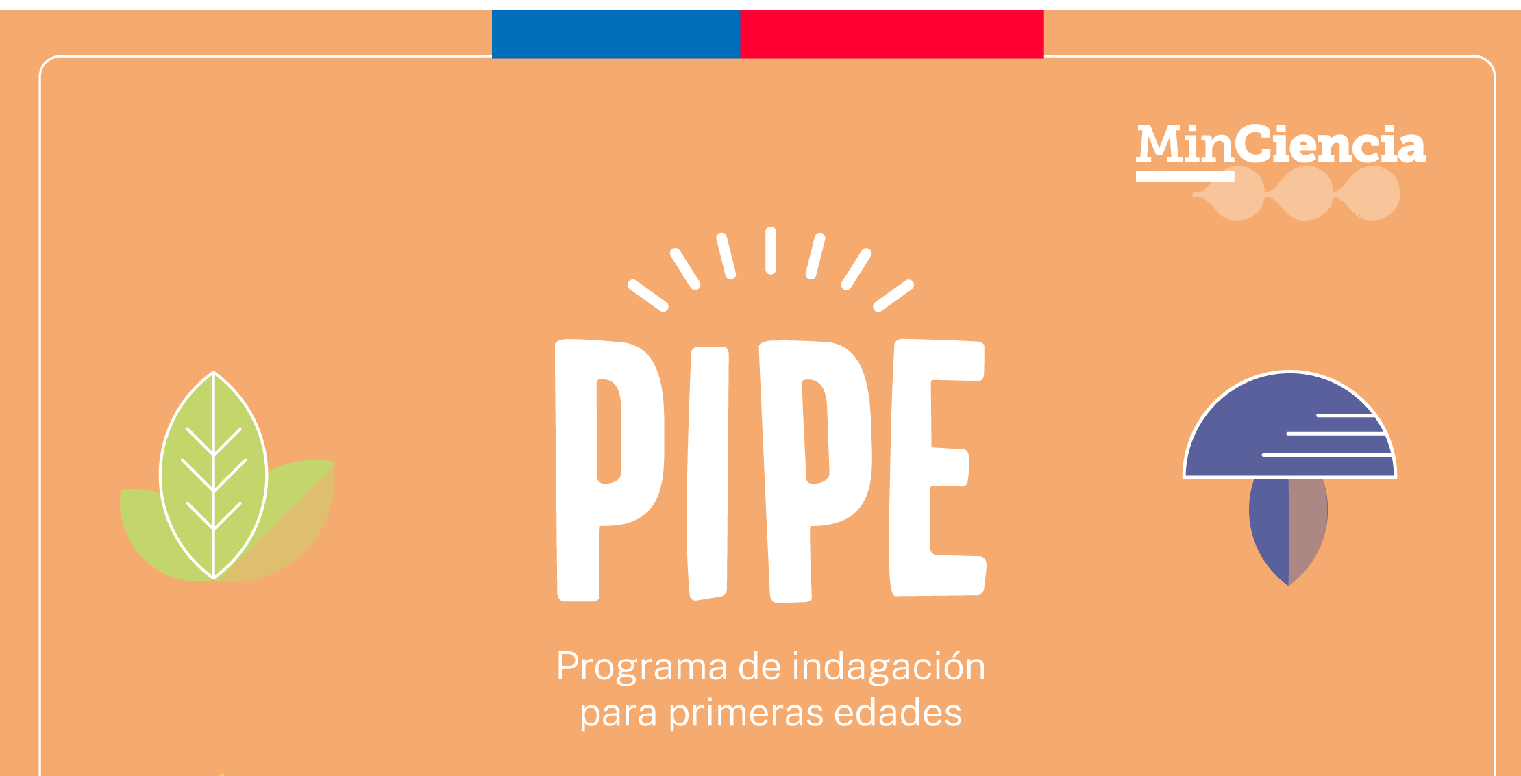 Programa de Indagación para Primeras Edades (PIPE) 2023