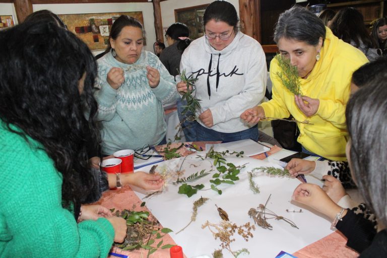 PIPE reunió a 120 educadoras/es de la Región de O´Higgins