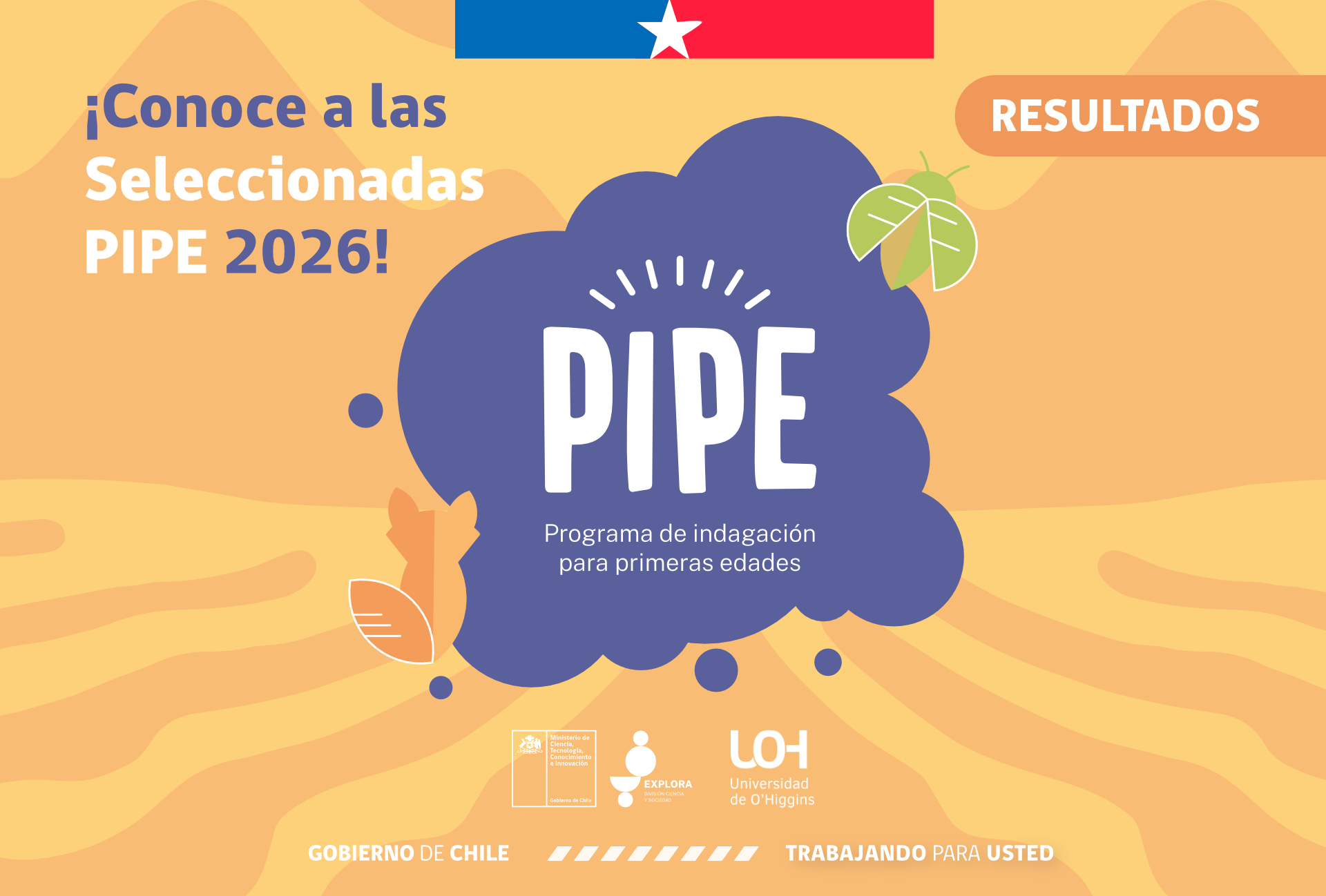 ¡Tenemos resultados PIPE!: 22 seleccionadas se suman al programa 2026