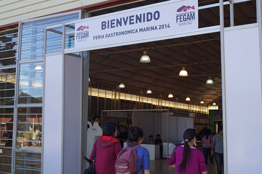 Foto-Reportaje: Exploratorio Microscópico en FEGAM 2014