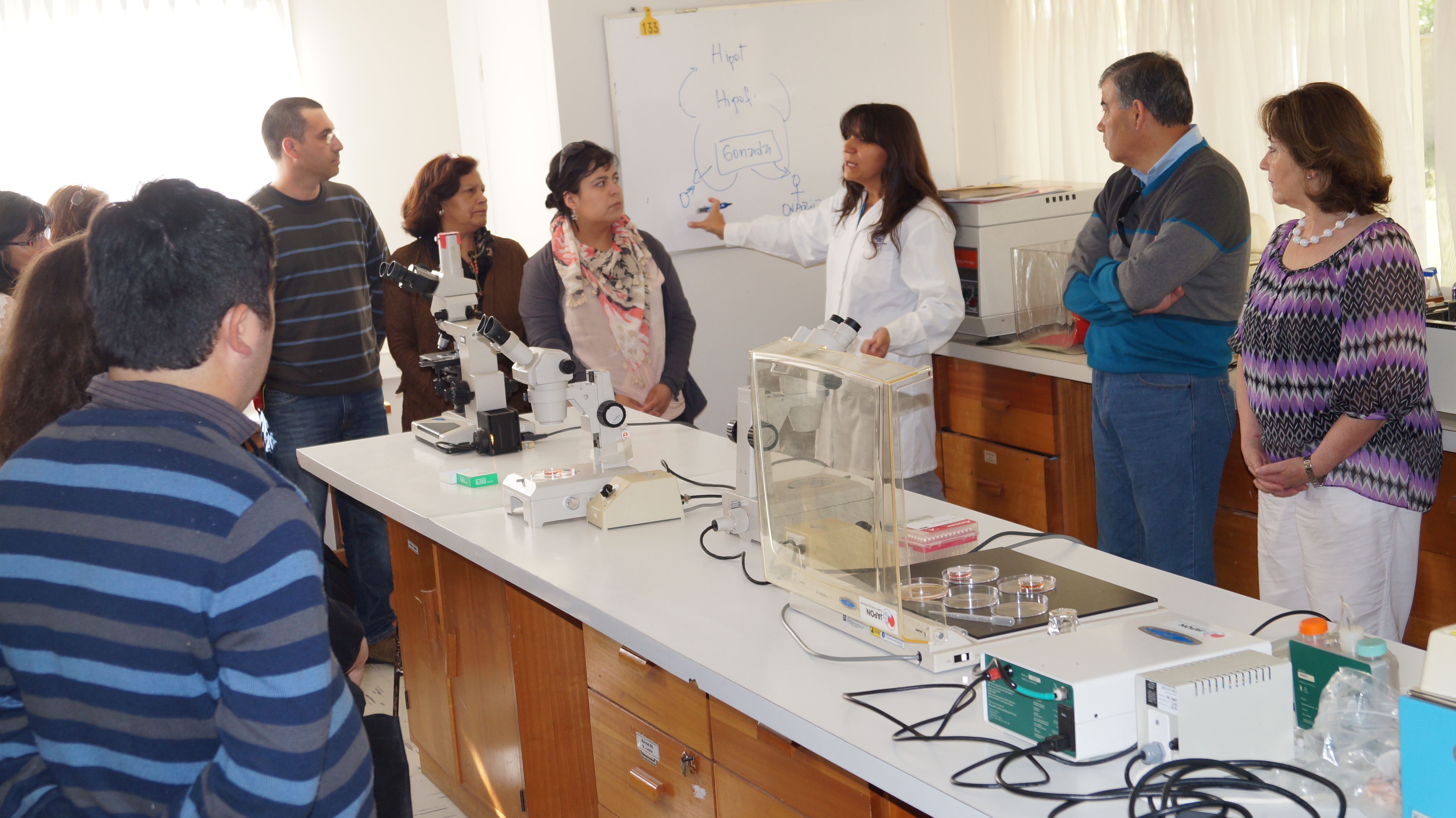Invitan a Profesores a participar de Taller “Construyendo Con.Ciencia”