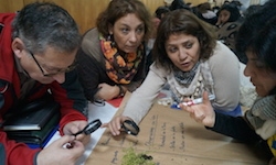 Más de 50 docentes se reunieron en Encuentro Regional de Ciencia