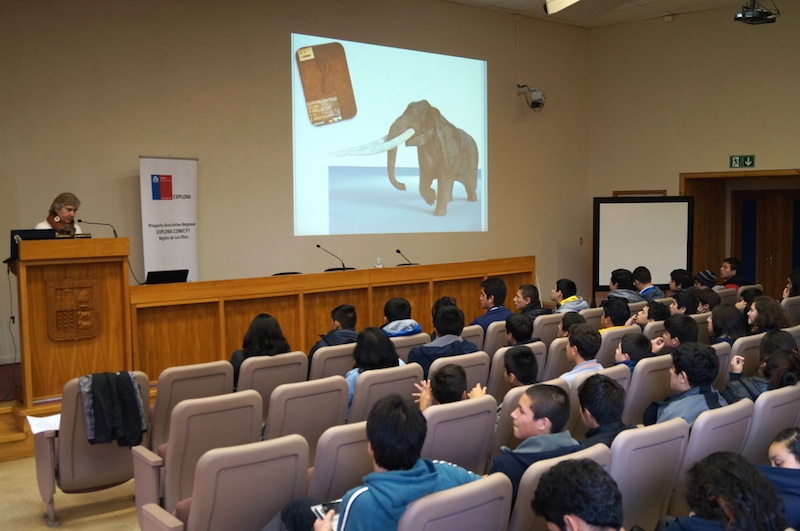 Culmina Ciclo de VideoConferencias con Tema Apícola