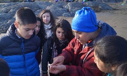 Más de 100 niños celebraron Día de la Biodiversidad en la costa valdiviana