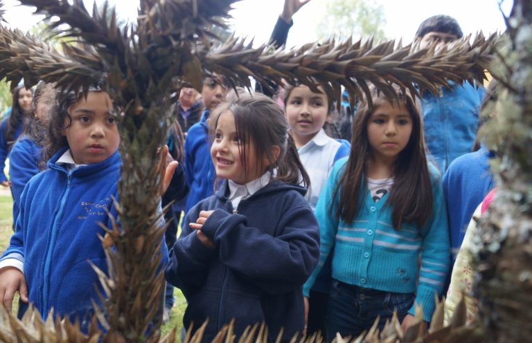 Te invitamos a conocer nuestras raíces y su Conocimiento Ancestral