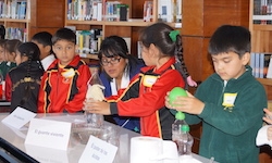 Quedan pocos días para participar de la II Feria Escolar de Ciencia y Tecnología Provincia de Valdivia