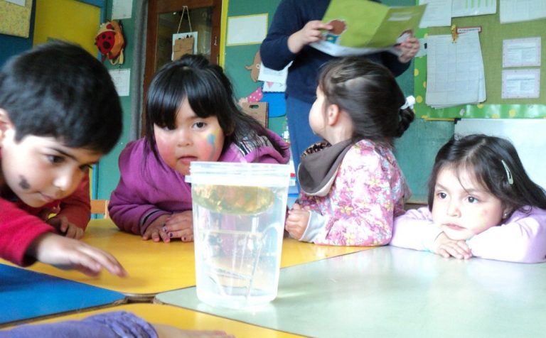 Llaman a reponer kits de Tus Competencias en Ciencias