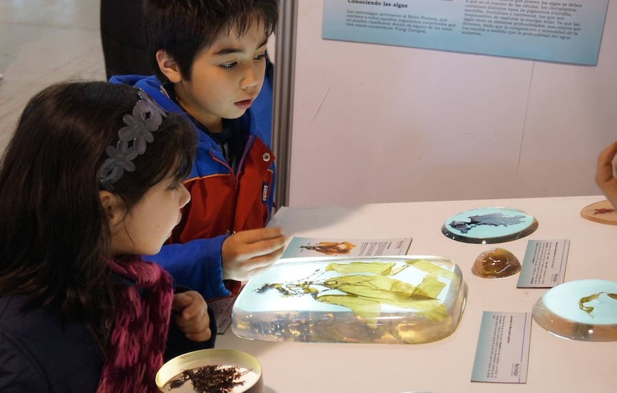 Todo listo para el XI Congreso Regional Escolar de Ciencia y Tecnología EXPLORA CONICYT 2014