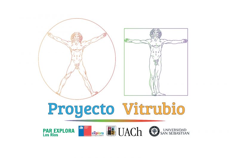 Descubre tus capacidades y exprésate en el Proyecto Vitrubio