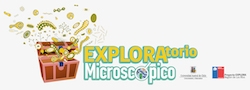 Nace el EXPLORAtorio Microscópico