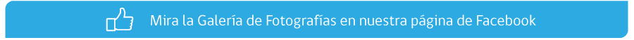 Exposición Efi-ciencia visita la 2a Feria de la Sustentabilidad UACh