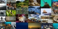 Elige tu fotografía acuática favorita en Ojo de Pez 2016