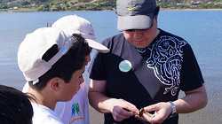 Colegios de la región celebrarán Día de la Biodiversidad en la costa valdiviana