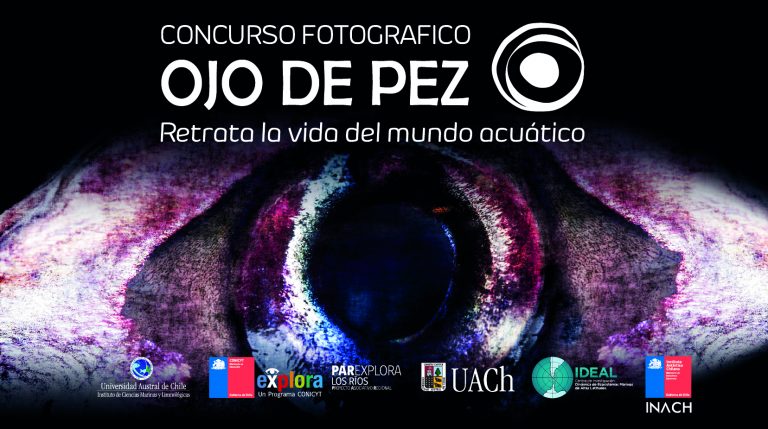Concurso Fotográfico Ojo de Pez 2019