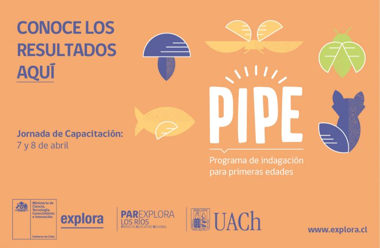 Programa de Indagación en Primeras Edades