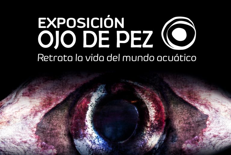 Exposición Ojo de Pez