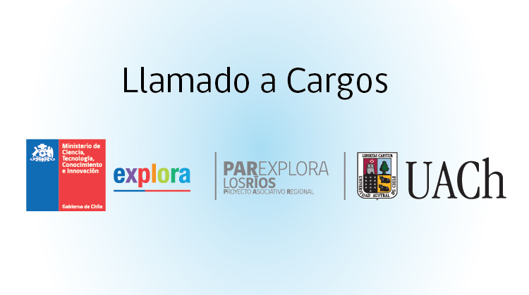 Llamado a Cargos 2020